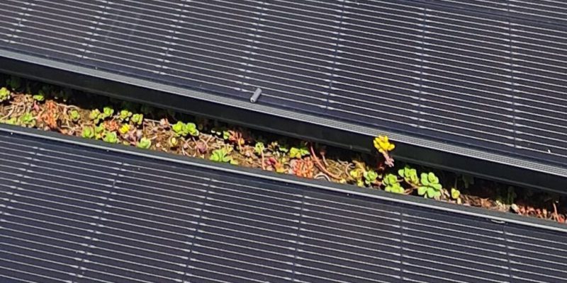 Photovoltaik
