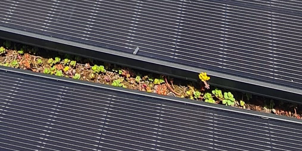 Photovoltaik